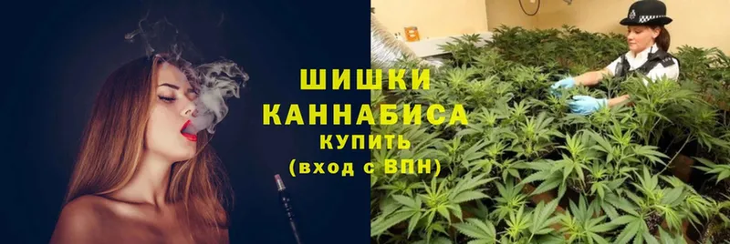 Купить закладку Кузнецк Псилоцибиновые грибы  Мефедрон  ГАШ  Каннабис 